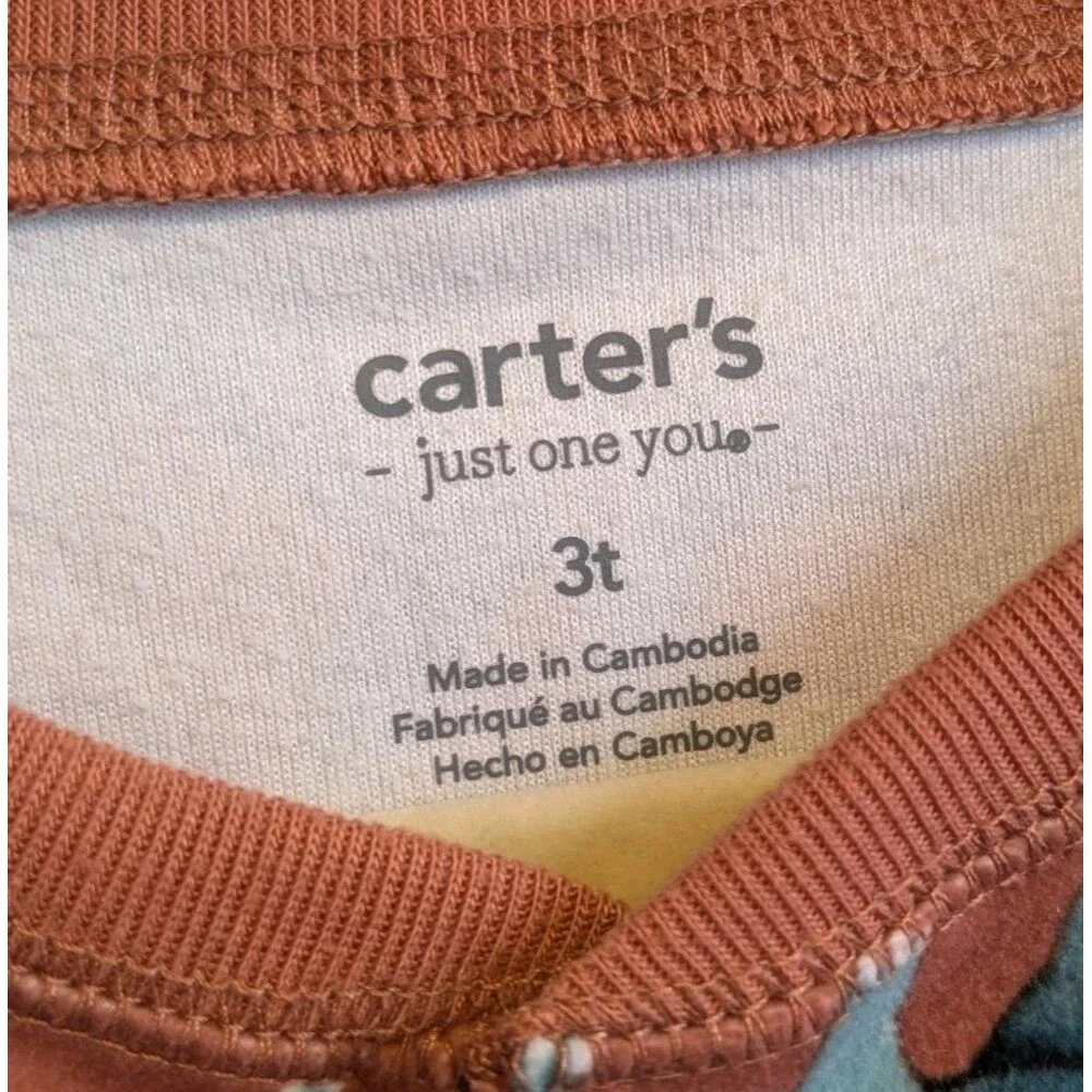 Carter's Boys Size 3T Brown Dinosaur Stego Fleece Long Sleeve Two Piece Pajamas - Picture 4 of 8
